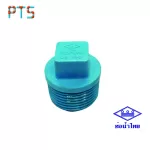 ปลั๊กอุดพีวีซี 1/2" ท่อน้ำไทย (500)